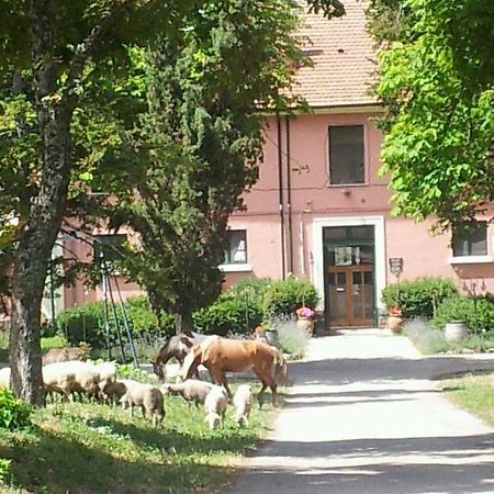 Country House Villa Delle Rose Agriturismo Rionero in Vulture Buitenkant foto