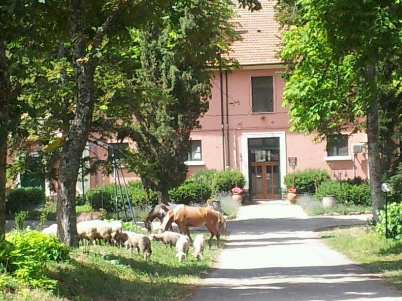 Country House Villa Delle Rose Agriturismo Rionero in Vulture Buitenkant foto